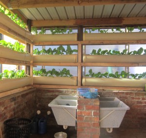 The new wash room and vertical gardens at Langrug